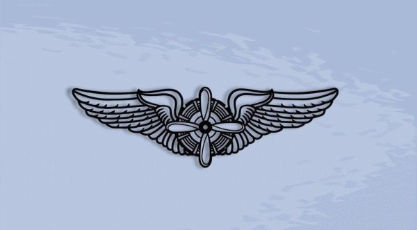 Usaf Flight Engineer Wings Silhouette Metal Sign Cut Metal Sign Wall D